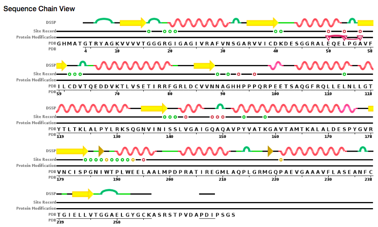 PDB sequence chain view. There are visible gaps between sequence and
residues denoted as being included in the PDB.