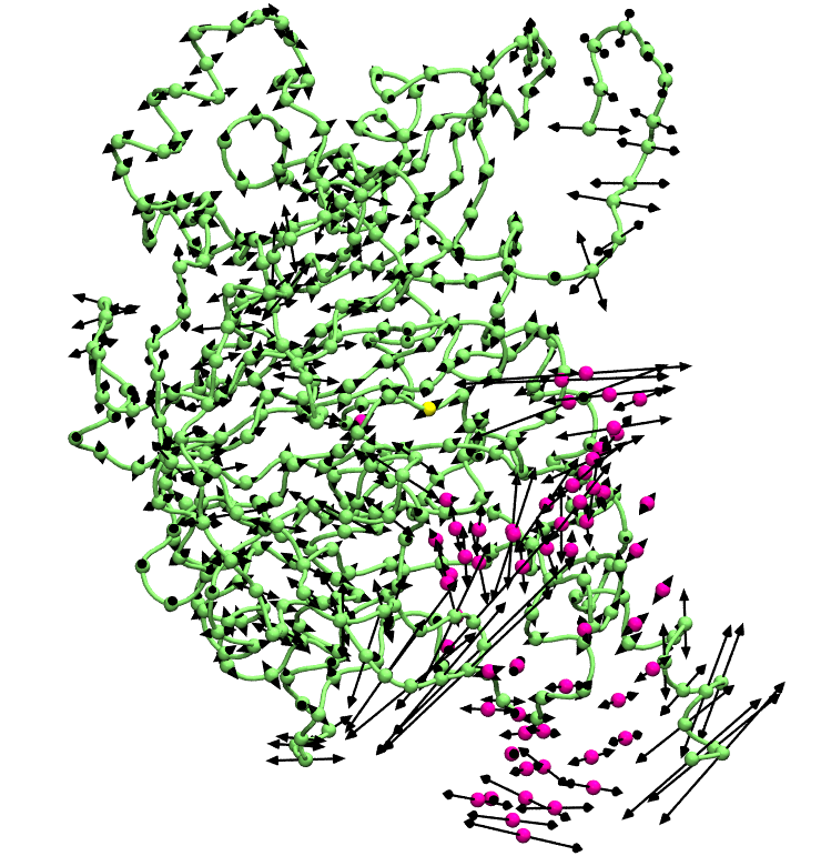 A protein structure with normal mode information.
