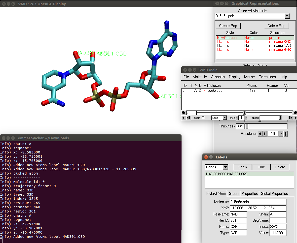 The top left is the VMD Display window, the bottom left is the Terminal
for VMD, the top right is the Graphical representations window, middle right is
the main VMD window, and bottom right is the labels window.