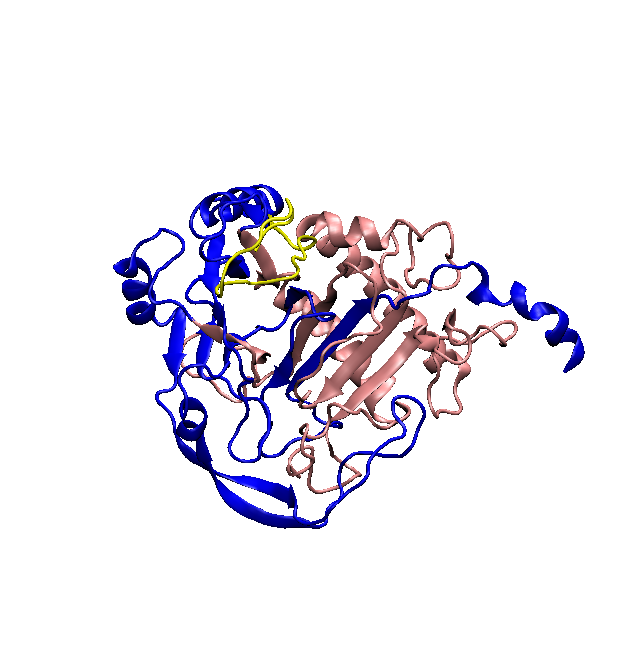 The protein is blue, yellow, and pink. The image is grainy.